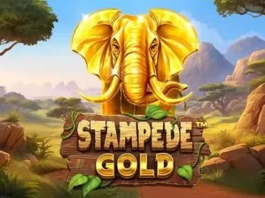 Kingbillywin Casino screenshot